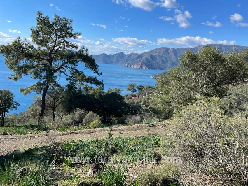 Çandır Full Deniz Manzaralı 20.000m2 Satılık 2b