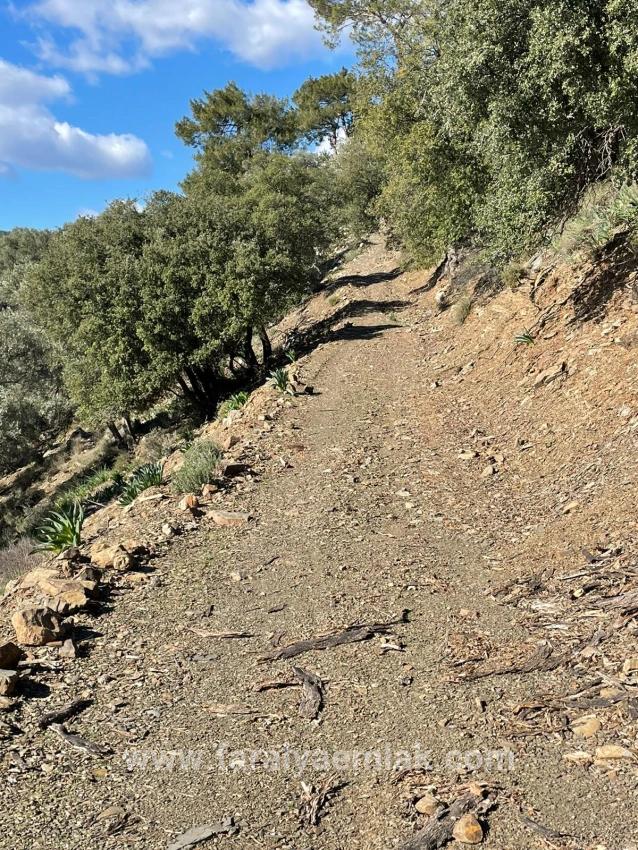 Çandır Full Deniz Manzaralı 20.000m2 Satılık 2b