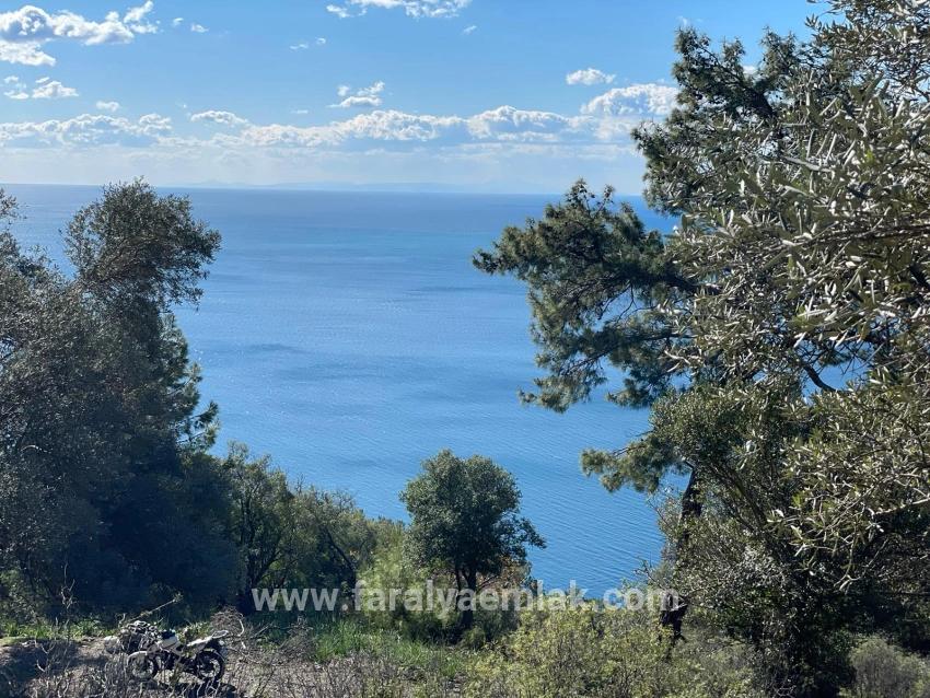 Çandır Full Deniz Manzaralı 20.000m2 Satılık 2b