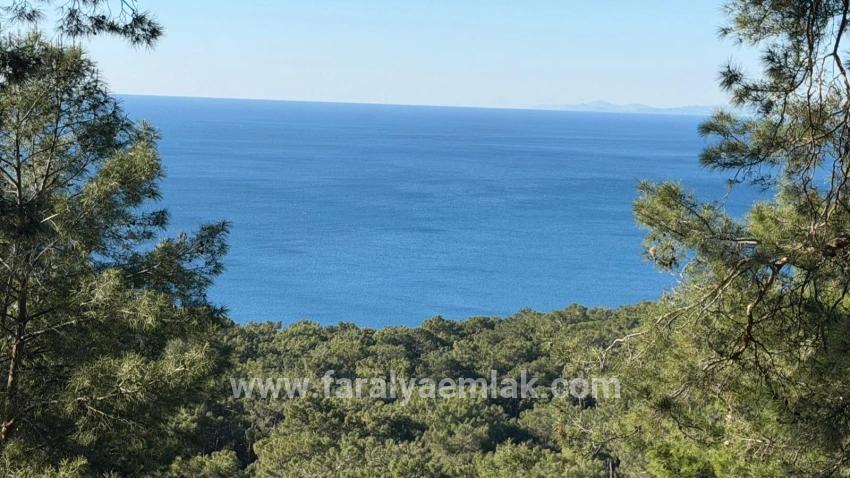 Çandır'da Full Deniz Manzaralı 5715m2 Satılık 2b Tarla
