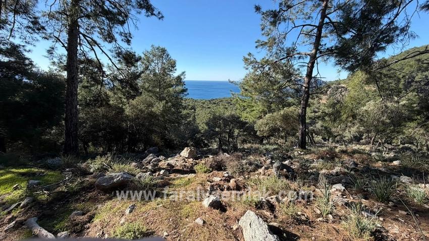Çandır'da Full Deniz Manzaralı 5715m2 Satılık 2b Tarla