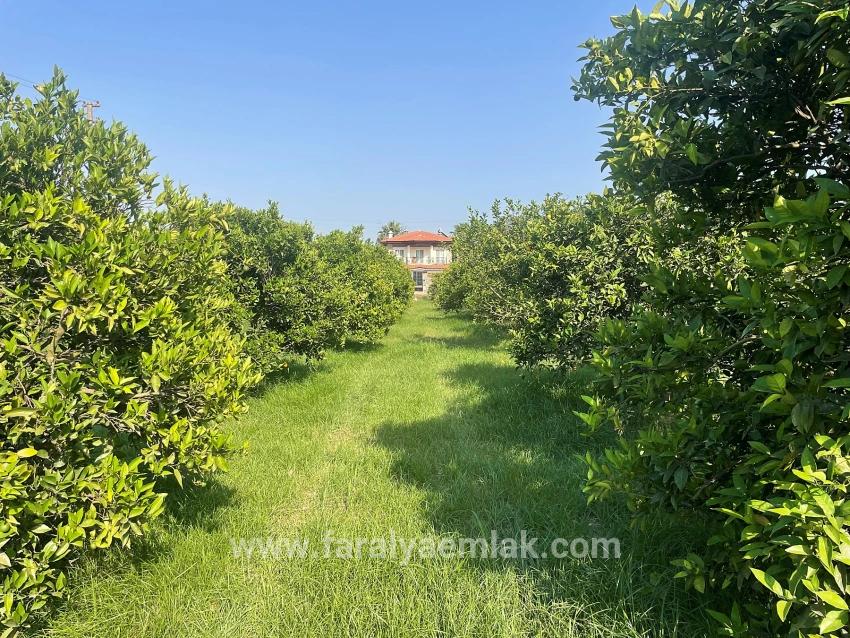 Dalyan Gülpınar'da 722m2 Satılık Arsa