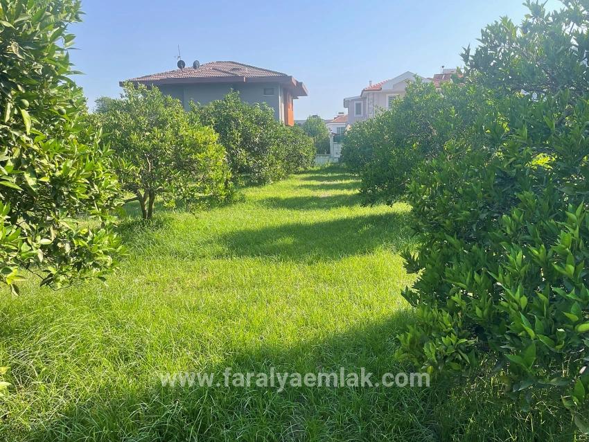 Dalyan Gülpınar'da 722m2 Satılık Arsa