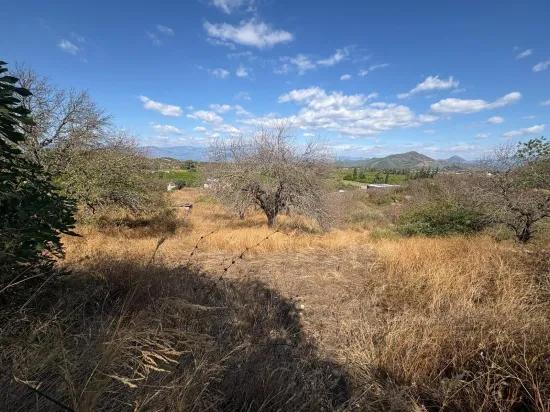 Dalyan Karadağ'da Göl Manzaralı 5.000m2 Satılık Tarla