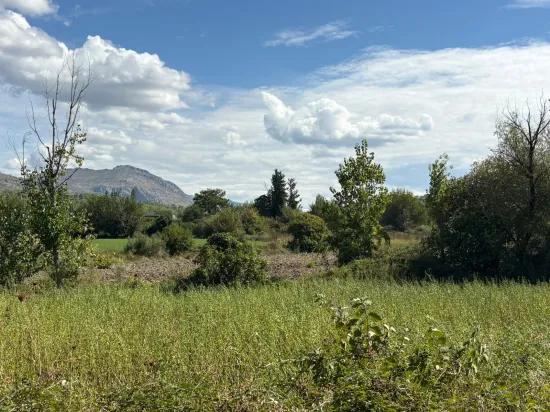 Köyceğiz Zeytinalanı'nda 10.500 M2 Satılık Tarla
