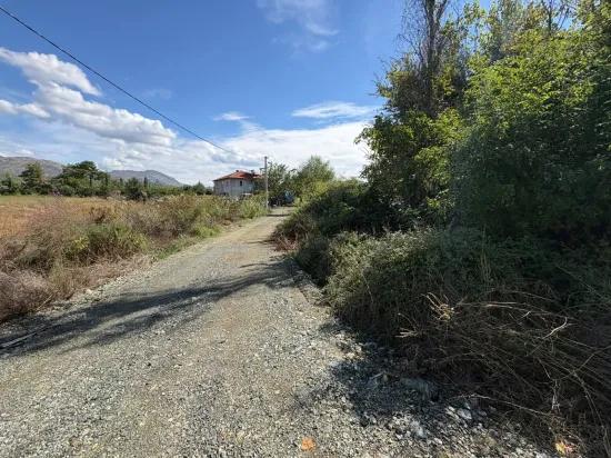 Köyceğiz Zeytinalanı'nda 10.500 M2 Satılık Tarla