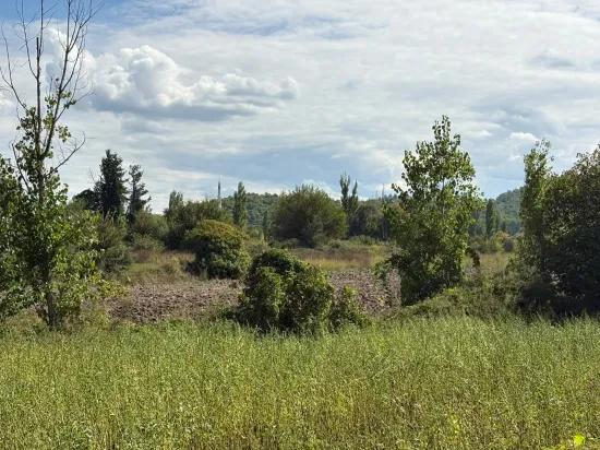 Köyceğiz Zeytinalanı'nda 10.500 M2 Satılık Tarla
