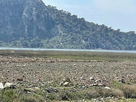 Dalyan İztuzu Plaj Yoluna Sıfır 19.600m2 Satılık Tarla
