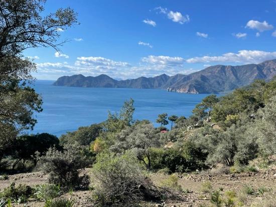 Çandır Full Deniz Manzaralı 20.000m2 Satılık 2b