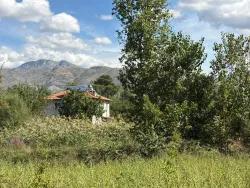 Köyceğiz Zeytinalanı Mah. Satılık Tarla - Tarla İmar Durumlu - 10.500 m²