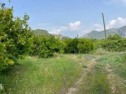 Ortaca Gökbel Mah. Satılık Tarla - Konut İmar Durumlu - 7.800 m²
