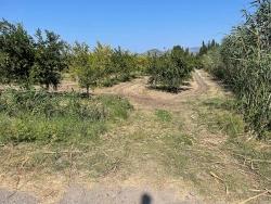 Ortaca Dalyan Mah. Satılık Tarla - Konut İmar Durumlu - 10.000 m²