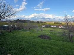 Ortaca Dalyan Mah. Satılık Tarla - Tarla İmar Durumlu - 11.230 m²