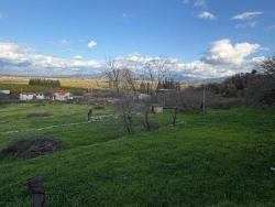 Ortaca Dalyan Mah. Satılık Tarla - Tarla İmar Durumlu - 11.230 m²