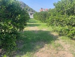 Ortaca Dalyan Mah. Satılık Arsa - Konut İmar Durumlu - 722 m²