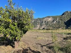 Ortaca Dalyan Mah. Satılık Tarla - Tarla İmar Durumlu - 6.600 m²