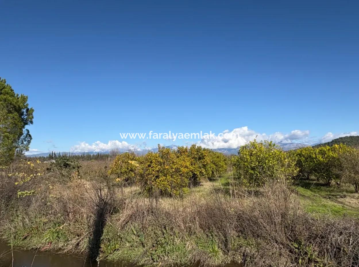 Tepearasın'da 23,000M2 Müstakil Satılık Tarla Bahçe