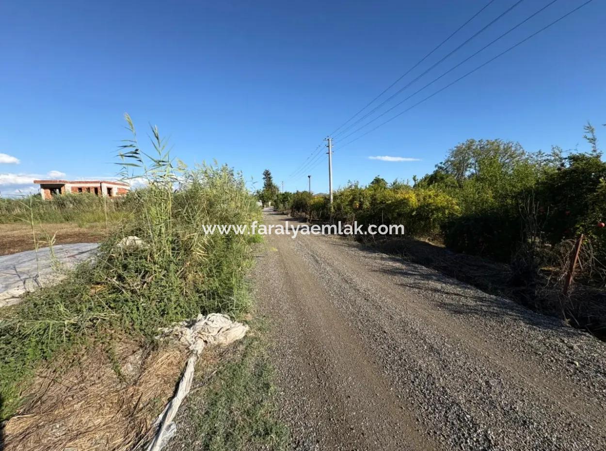 Ortaca Yeşilyurt'ta 3900M2 Satılık Arsa