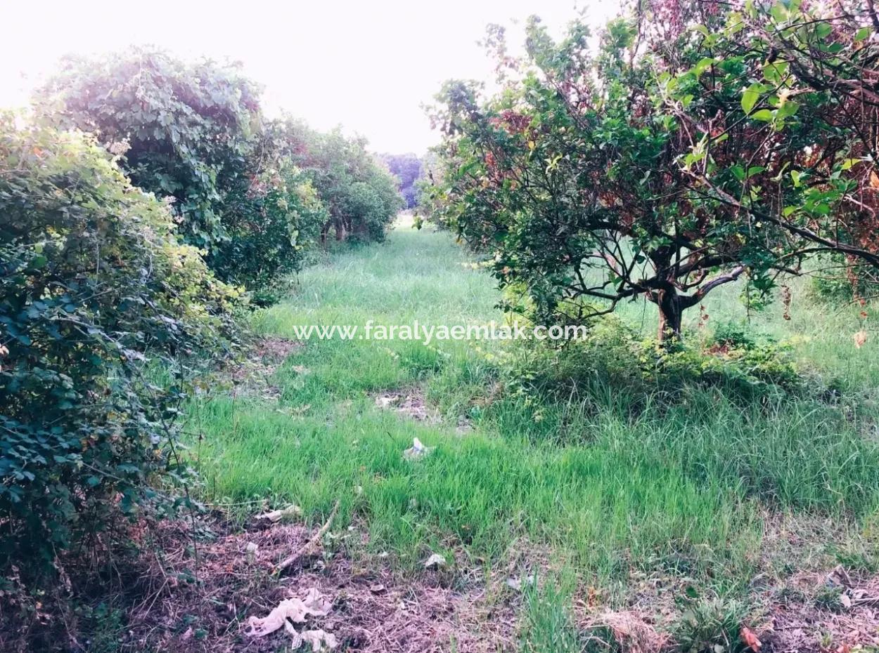 Okçularda Satılık Arsa Okçular Marmarlı Satılık  1,500M2 Satılık Arsa