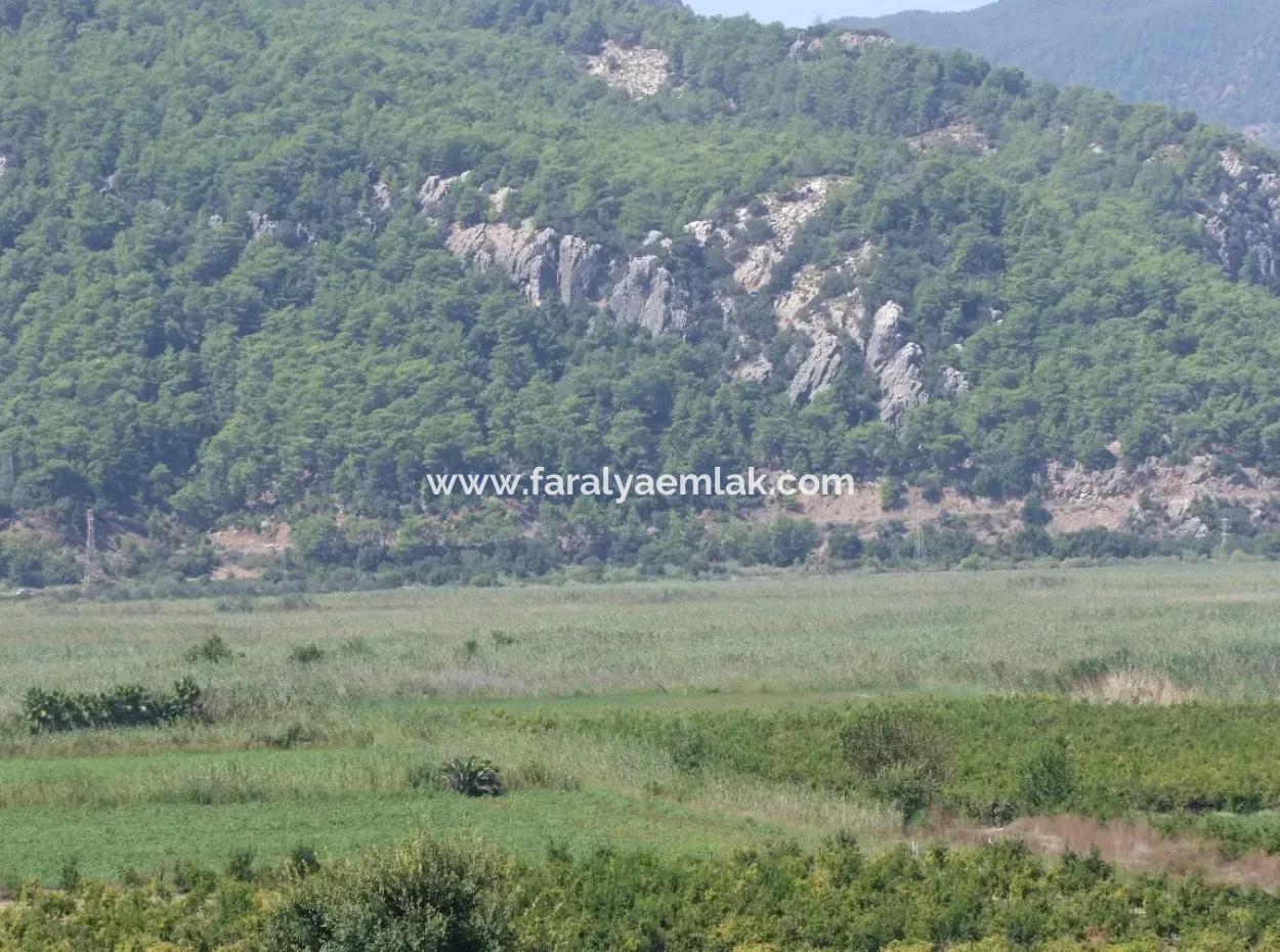 Dalyan Satılık Tarla Dalyan 73410M2 Satılık Tarla