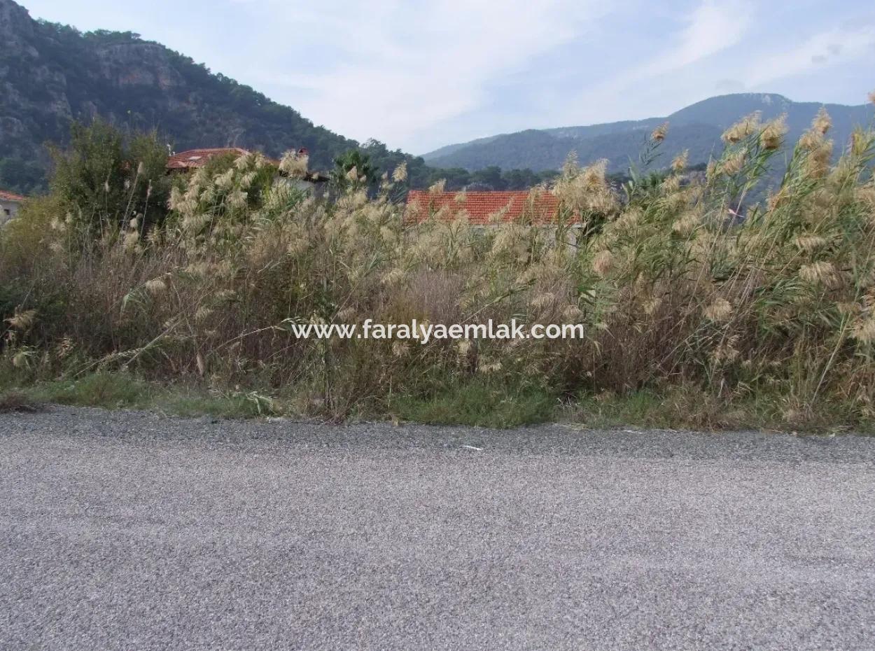 Dalyan Satılık Arsa Dalyan Gülpınar 751M2 Satılık Arsa
