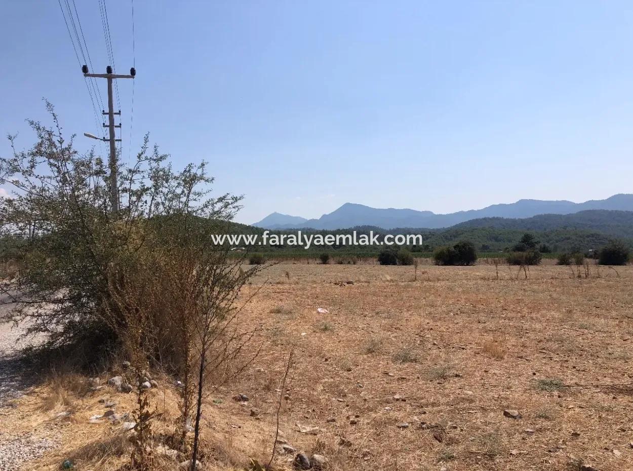 Köyceğiz Zeytinalanı'nda Göl Manzaralı 11.227M2 Satılık Arsa