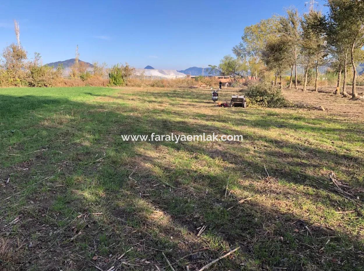 Dalyan'da 2540M2 Satılık Arsa
