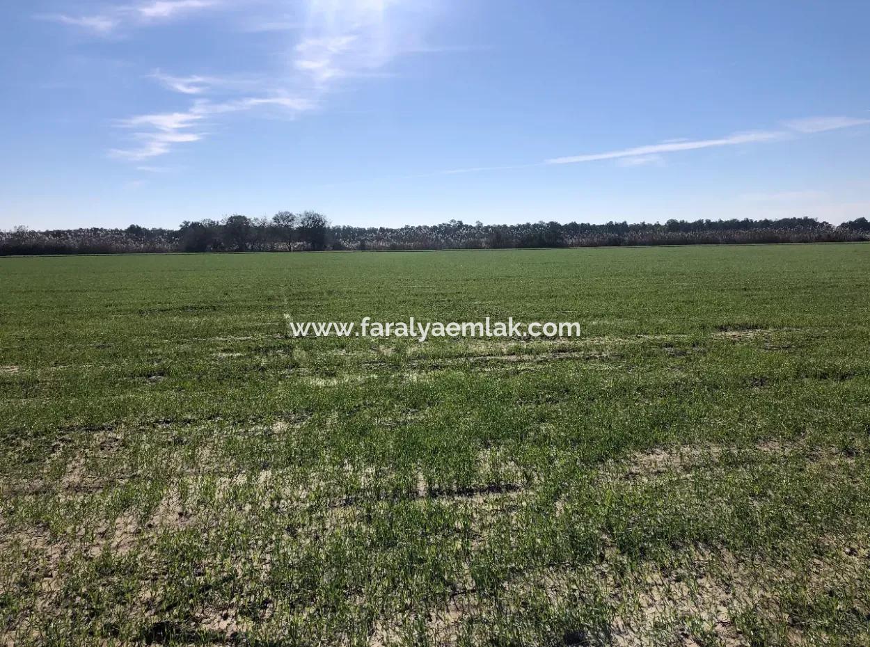 Sarıgermede Satılık Arsa Deniz Manzaralı 30,000M2 Satılık Arsa