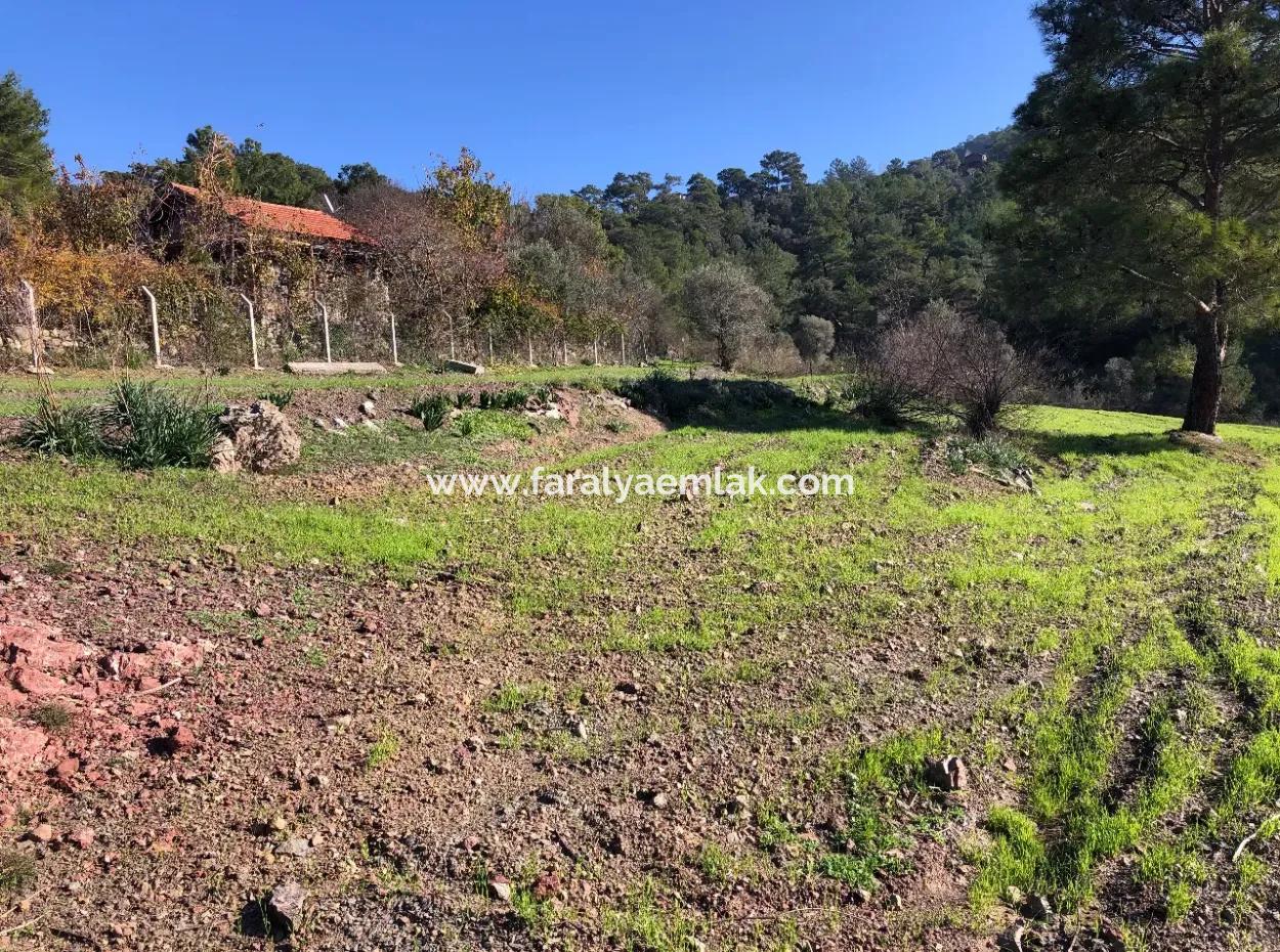 Gökbel Satılık Arsa Full Deniz Manzaralı 8000M2 Satılık Arsa