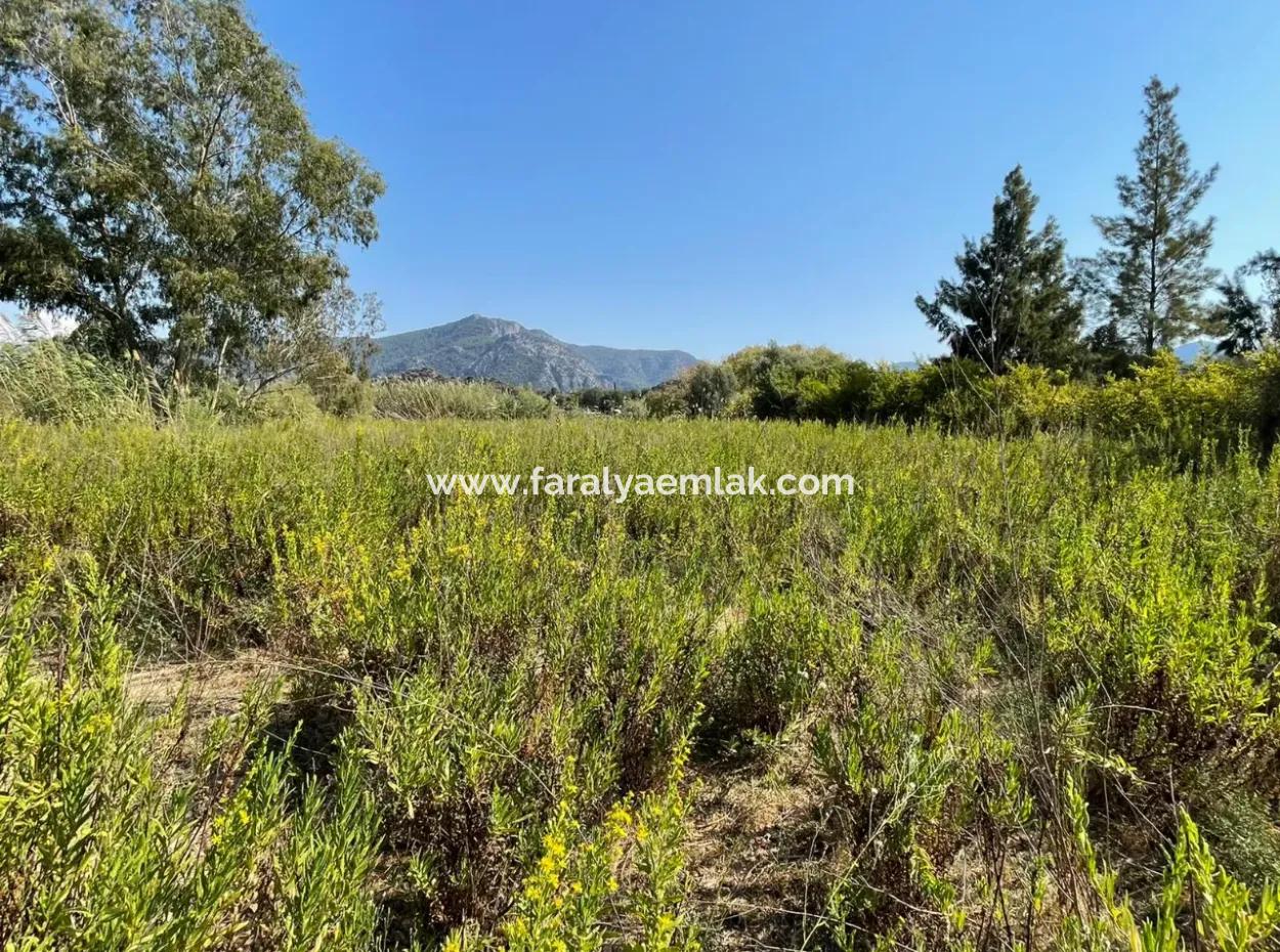 Çandır Kanala Sıfır 2765M2 Satılık Müstakil Ev