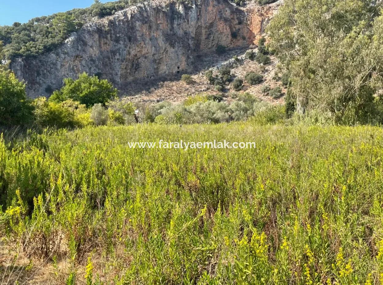 Çandır Kanala Sıfır 2765M2 Satılık Müstakil Ev