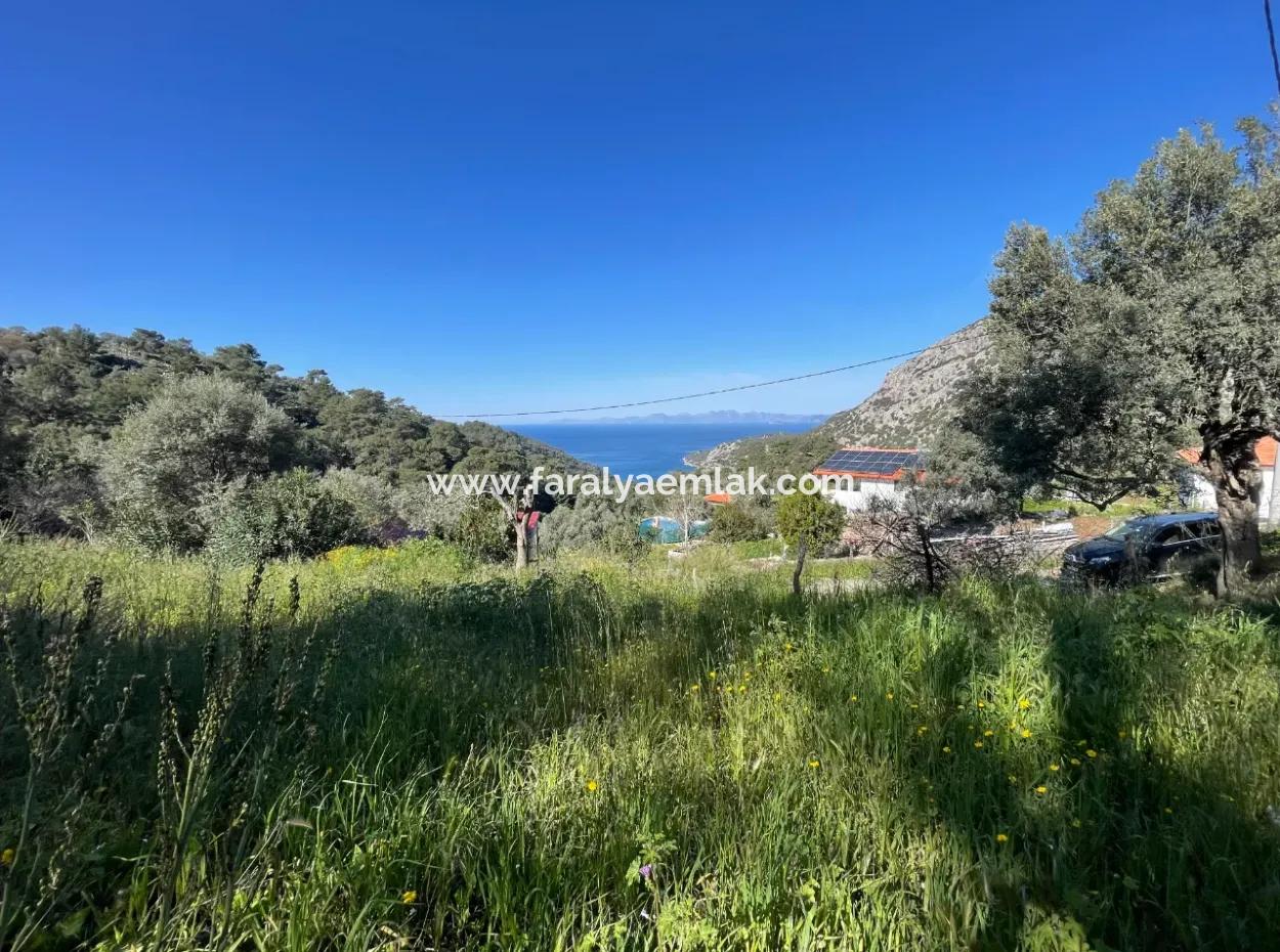 Gökbel'de Full Deniz Manzaralı 4,400M2 Arsa İçinde Satılık Köy Evi