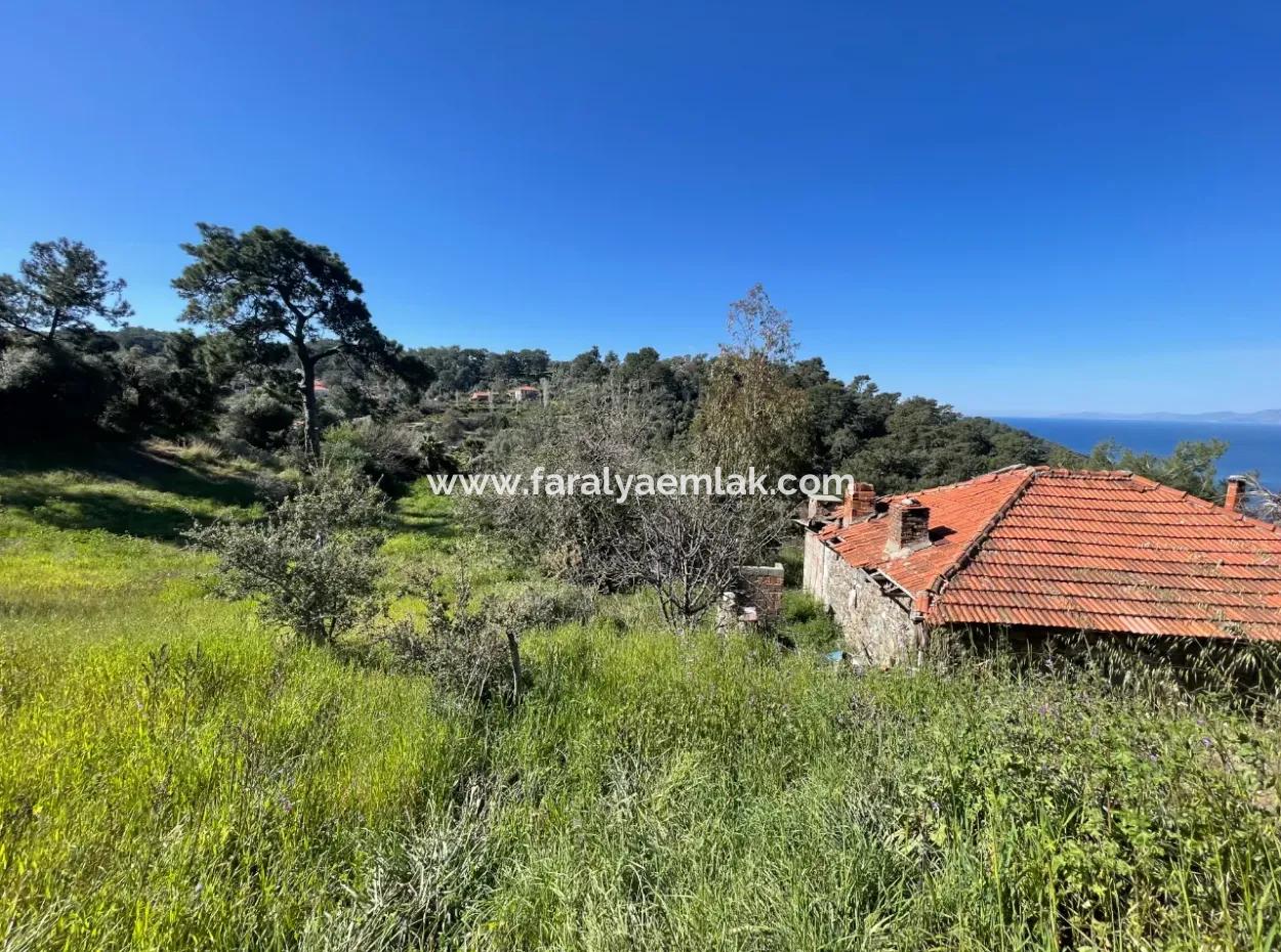 Gökbel'de Full Deniz Manzaralı 4,400M2 Arsa İçinde Satılık Köy Evi