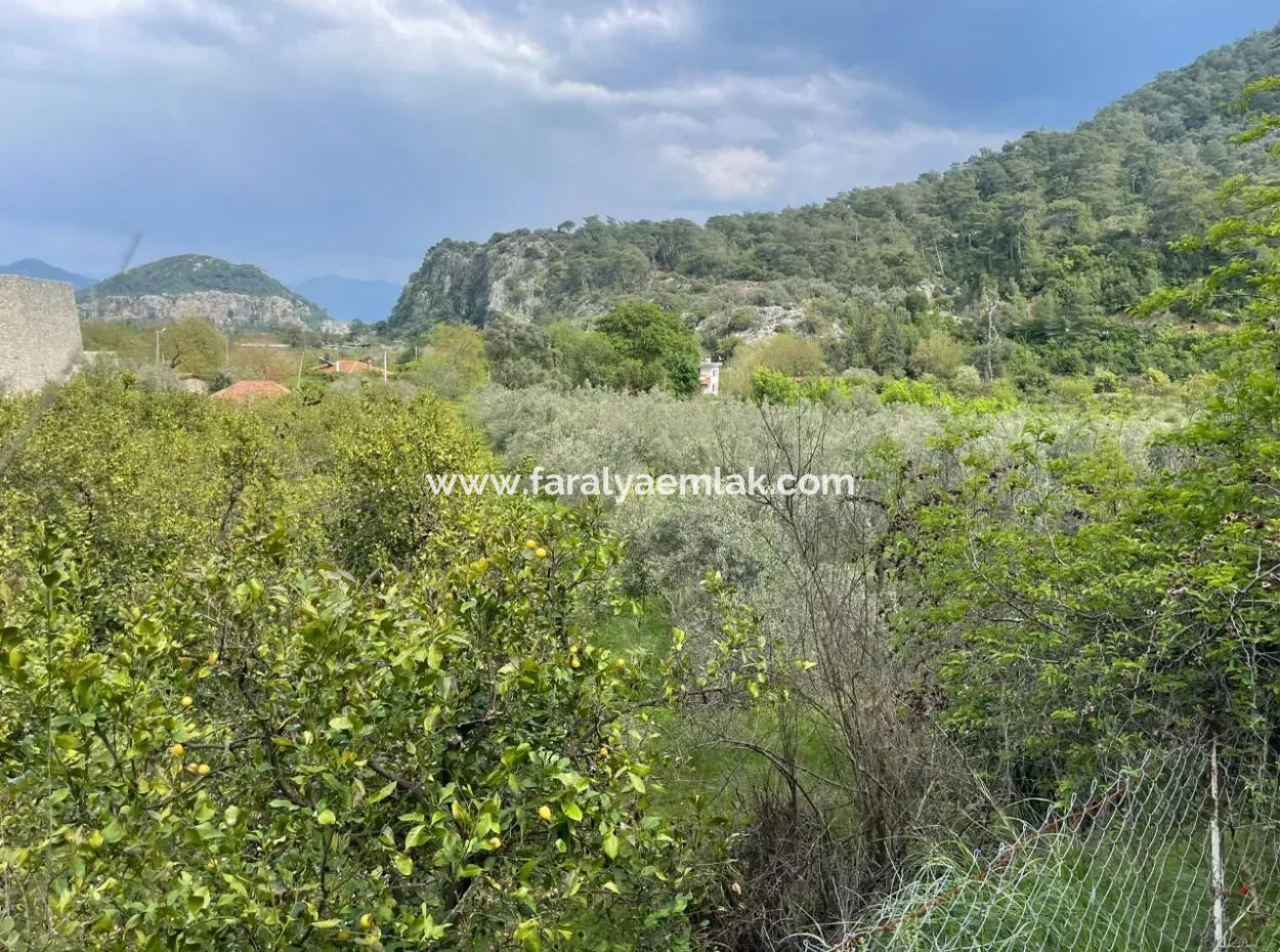 Çandır'da Yola Sıfır 5000M2 Satılık Tarla