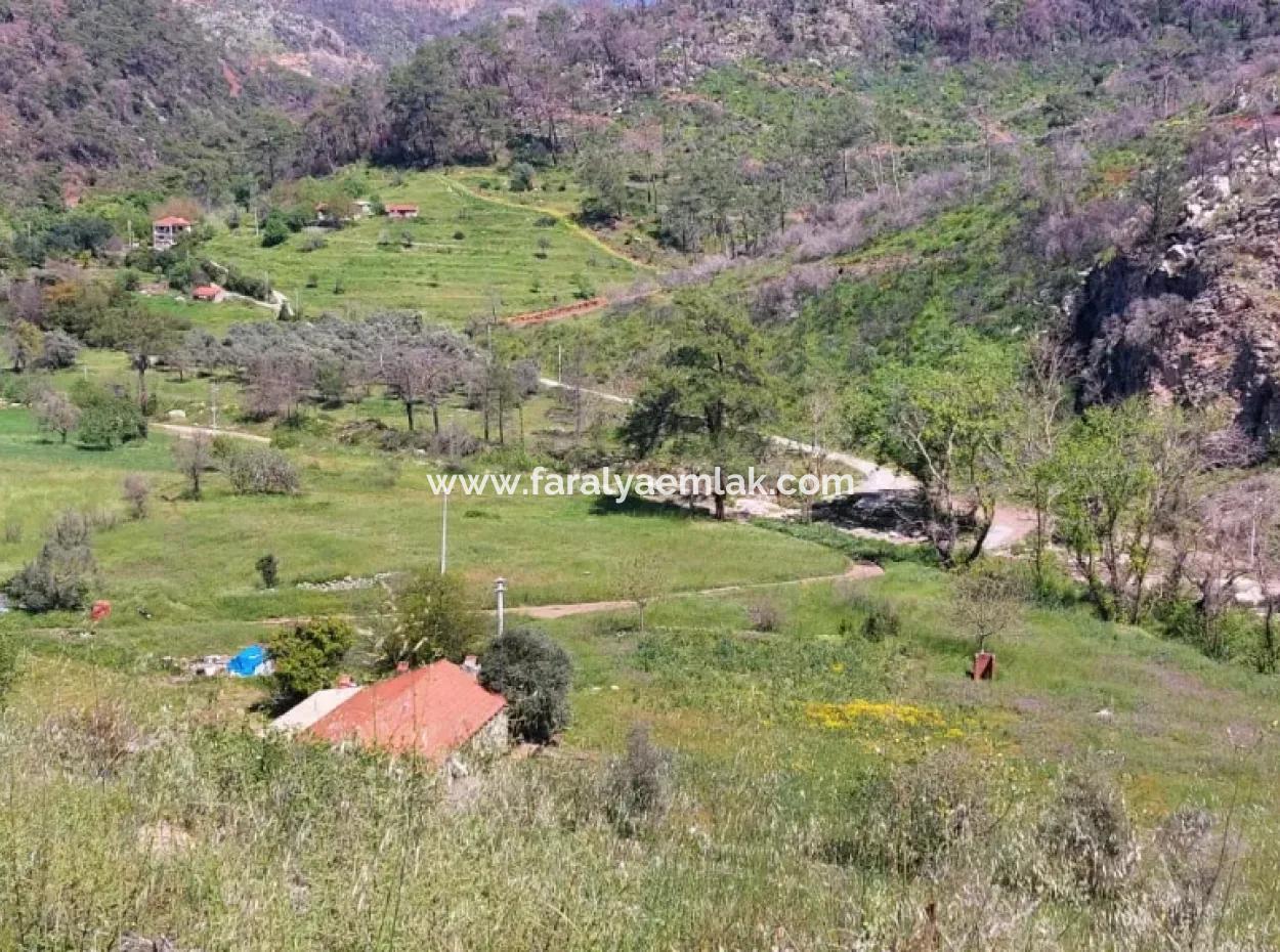 Marmaris Turgut Yatırımlık Satılık 29600M2 Satılık Arazi