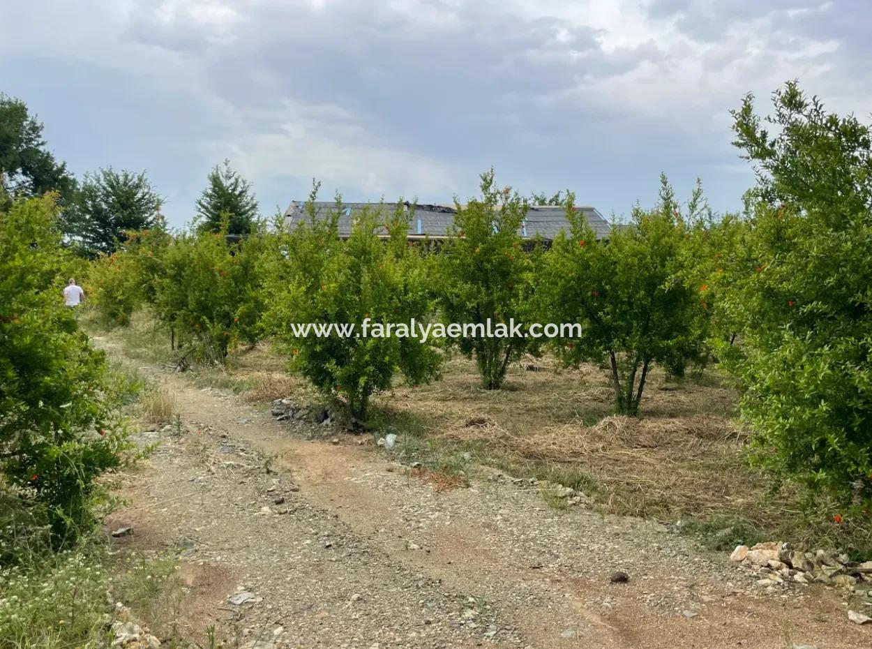 Dalyan''da Merkeze Yakın 2,528M2 Satılık Tarla