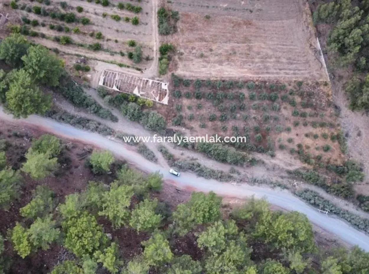 Mergenlide Aşı Koyu Yolu Üzerinde Satılık 3578M2 Tarla