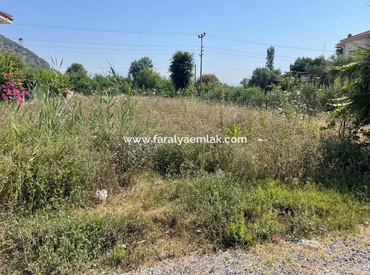Dalyan Gülpınar 500M2 Satılık Arsa