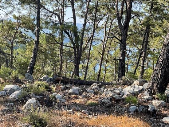 Ekincik Çandır Arasın'da Deniz Manzaralı Kelepir Emlak Satılık Arsa
